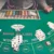 Flush Casino